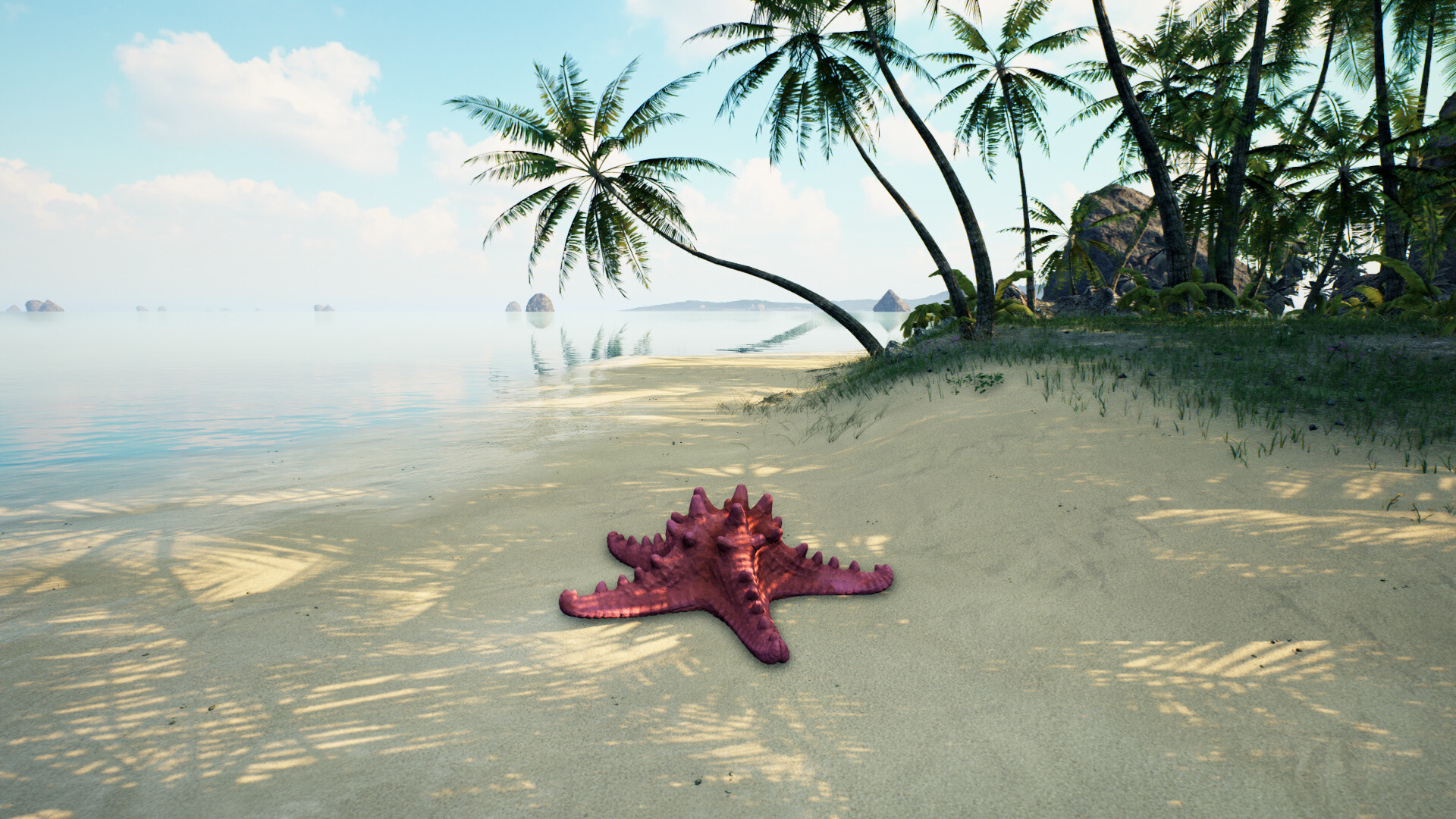 Starfish Simulator 👍 screenshot 1