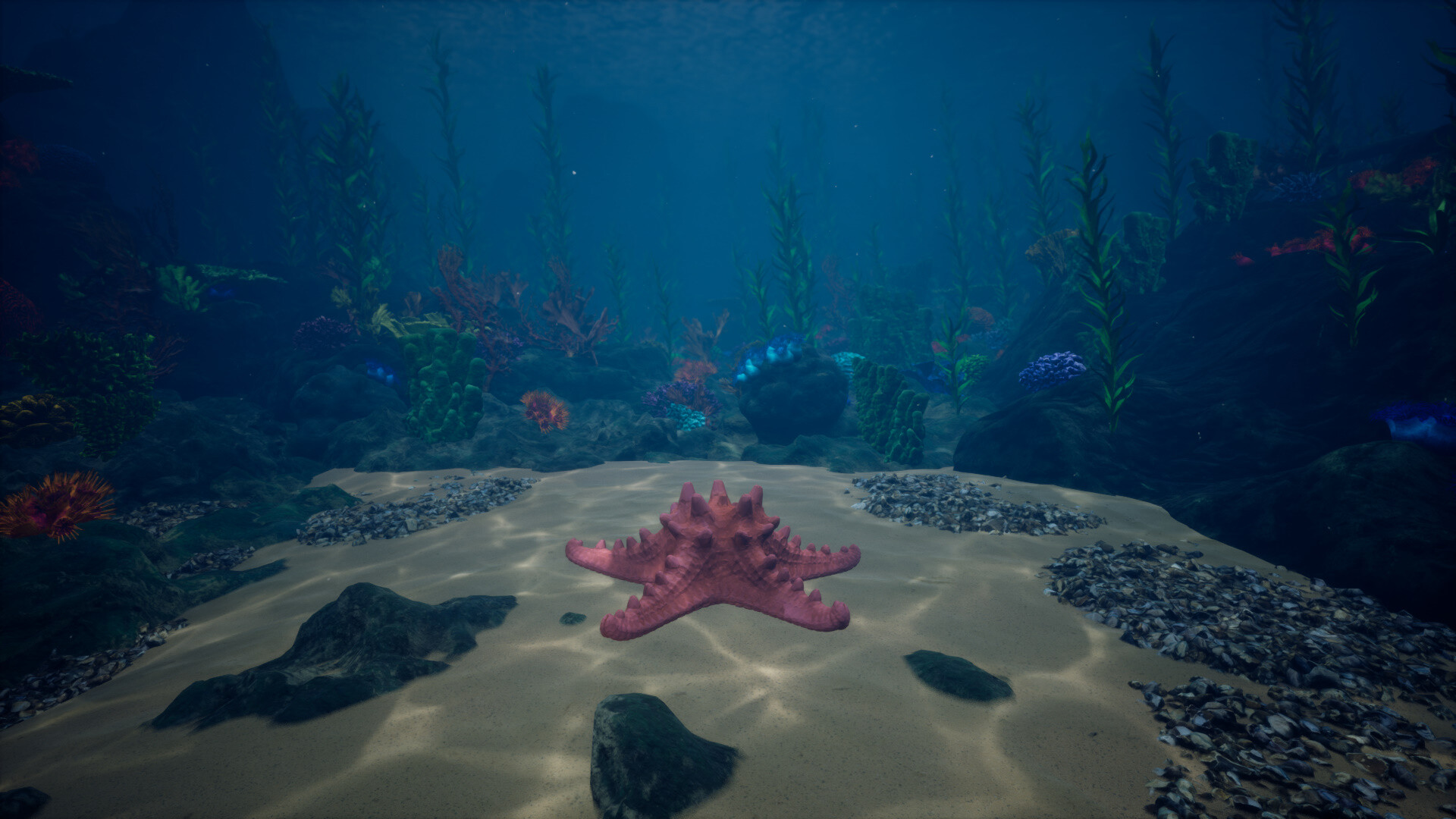 Starfish Simulator 👍 screenshot 4
