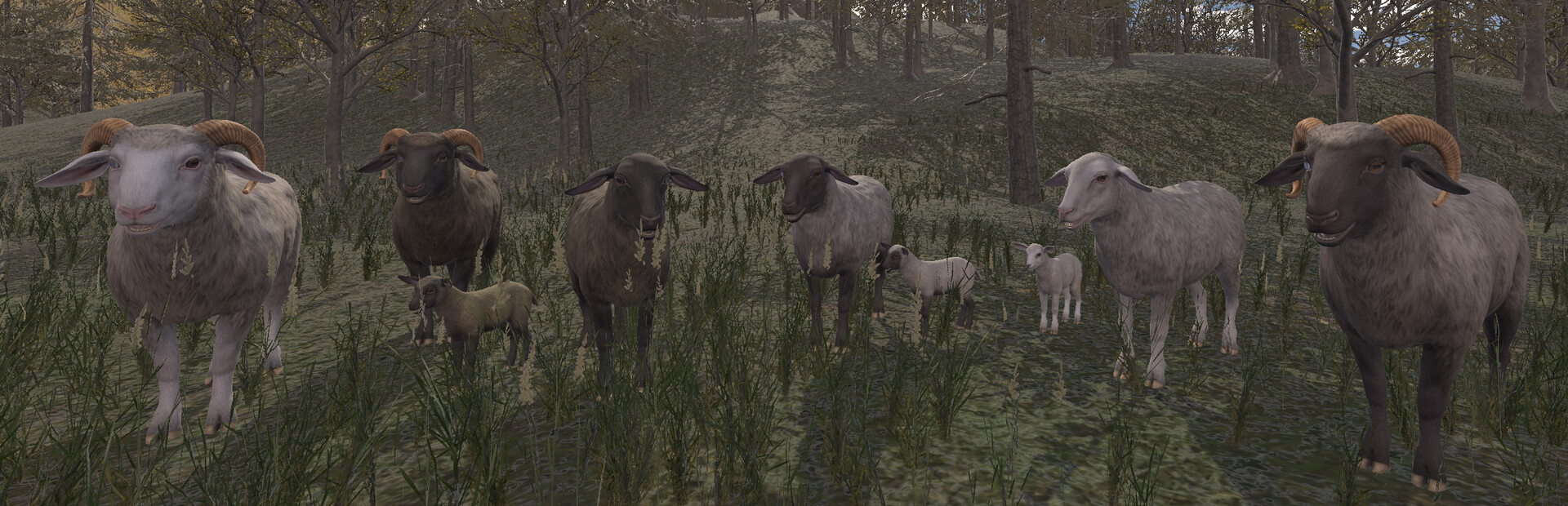 Herding Adventures