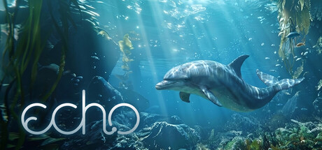 Echo: The dolphin story