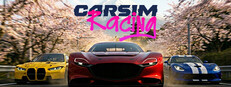 海报 CarSim Racing