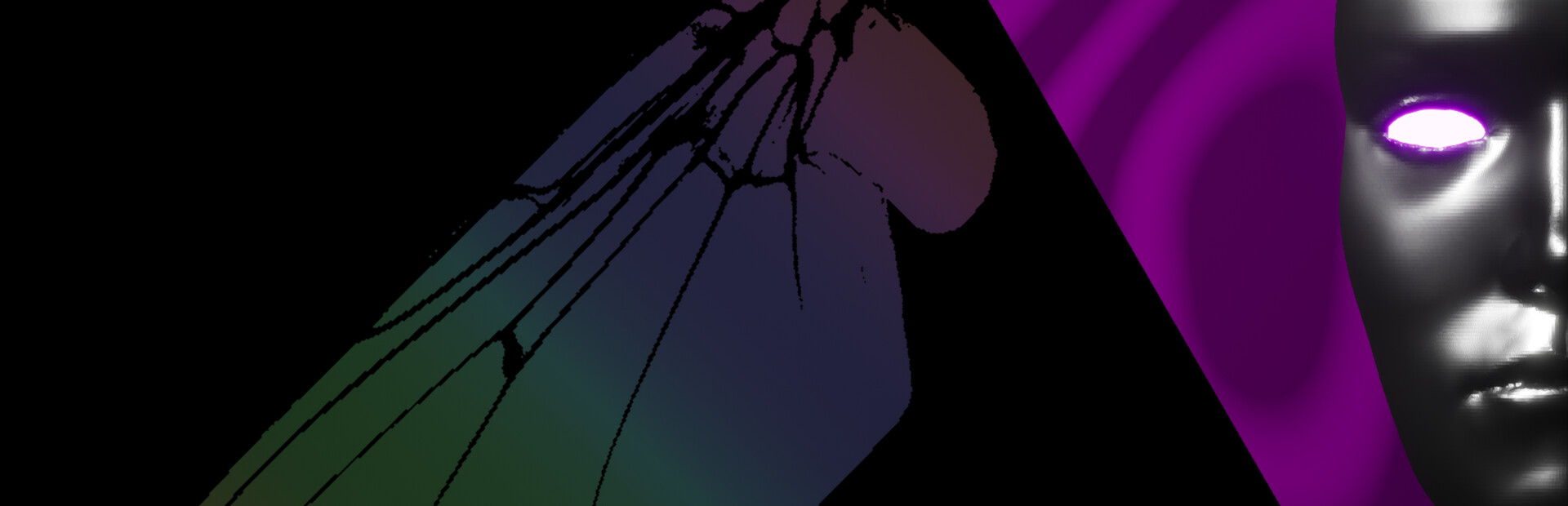 ParaDive++