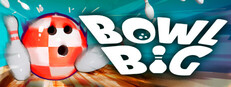 Bowl Big cover art