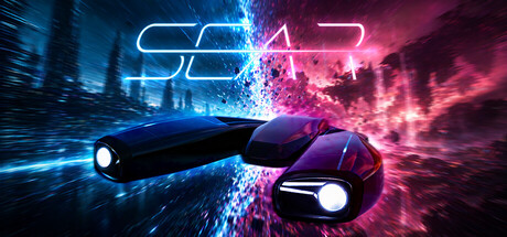 SEAR — Steam header