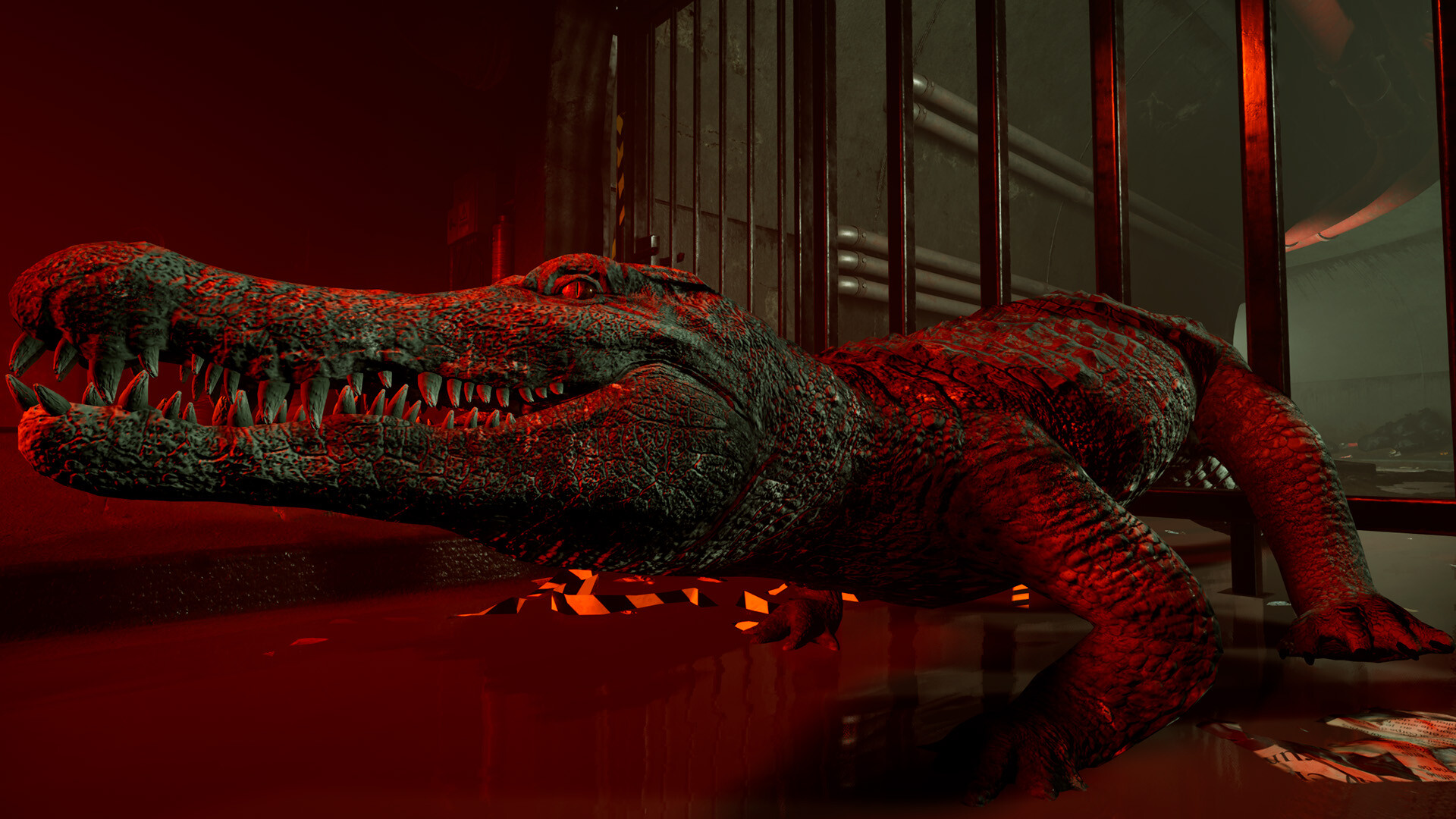 Crococo screenshot 11