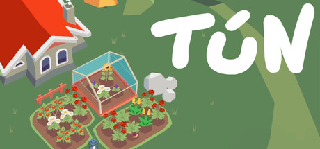 Tún