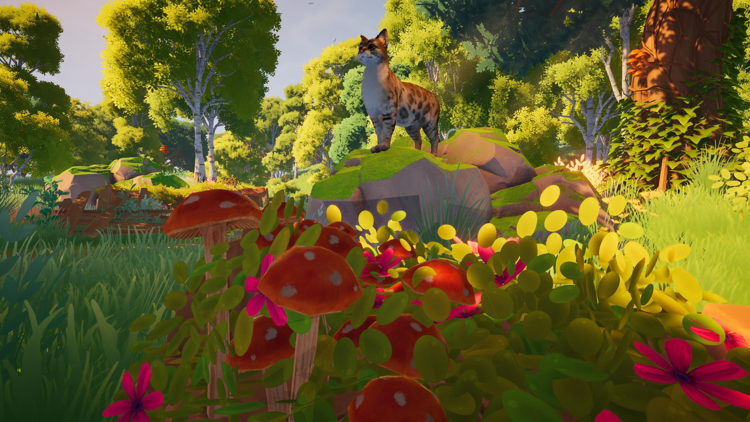 Junebug screenshot 4