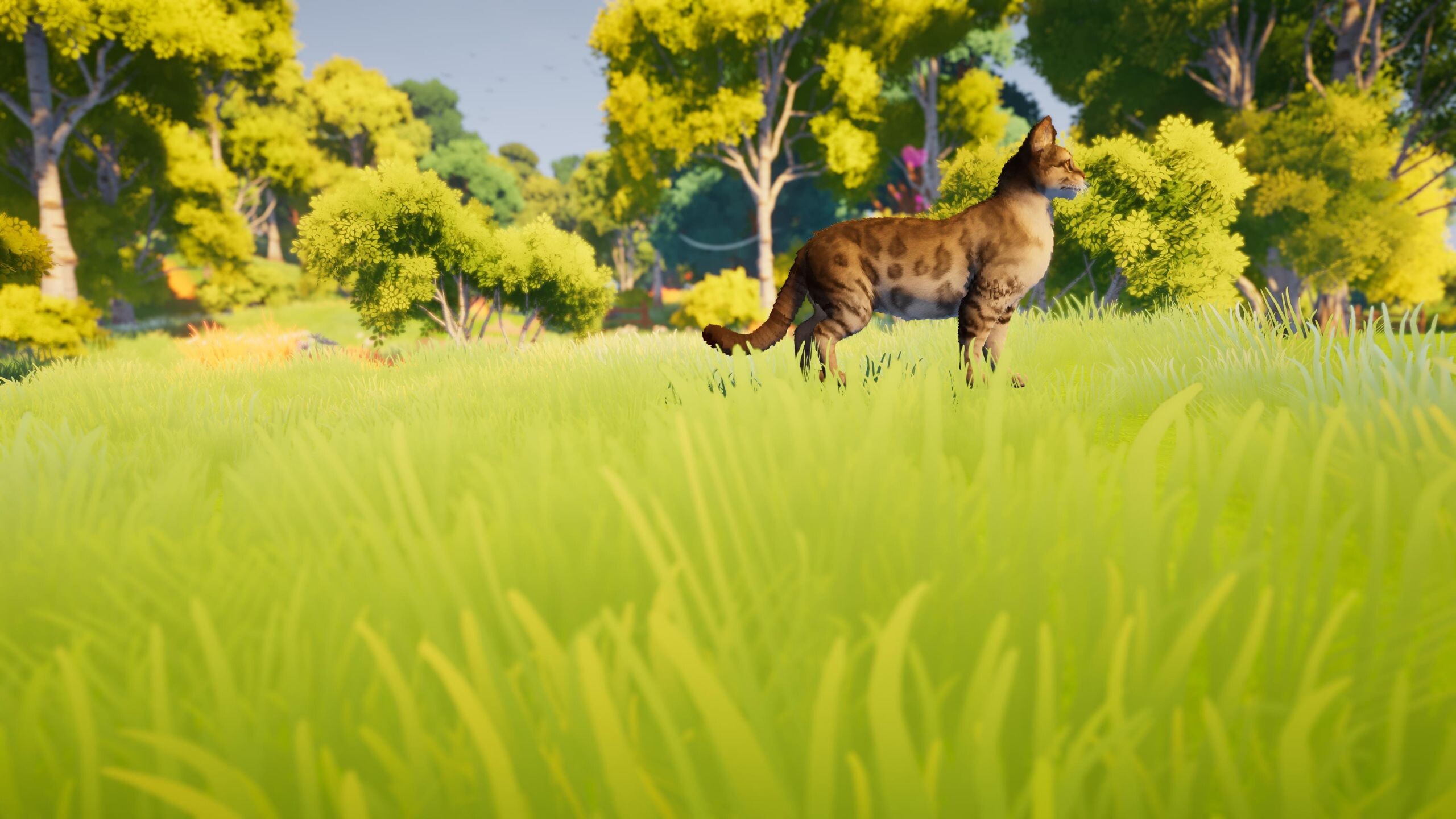 Junebug screenshot 5