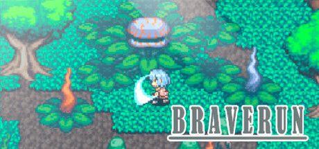 BRAVERUN