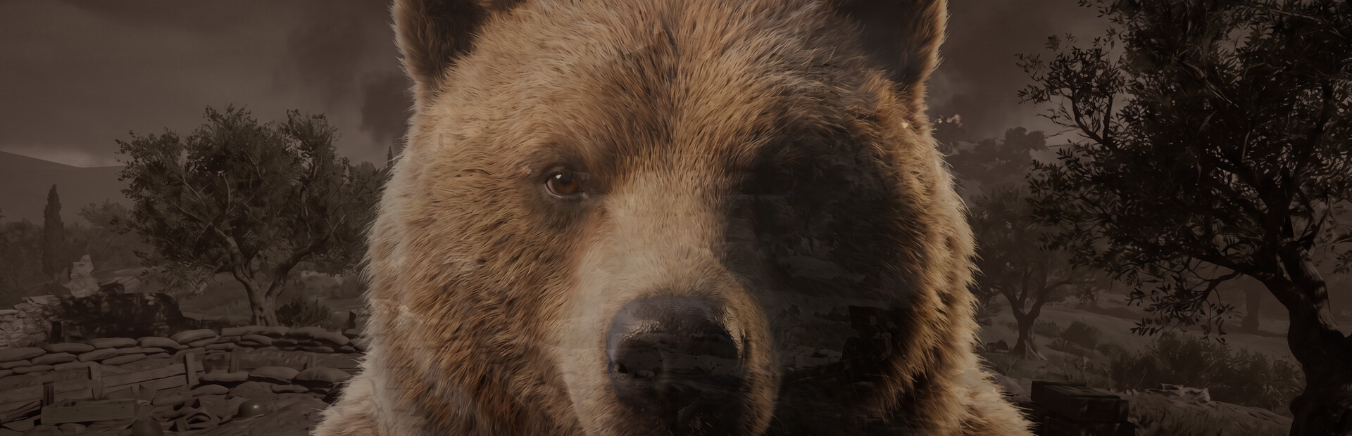 Wojtek: A Soldier Without a Uniform
