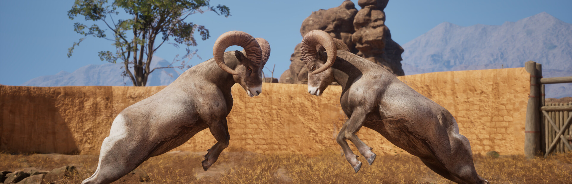 Ram Fights Demo