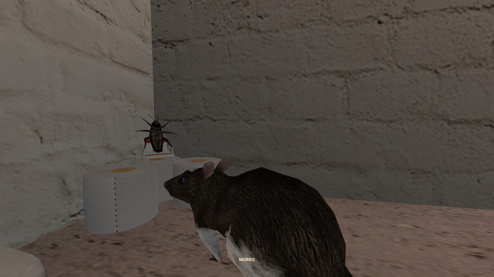 CLAM screenshot 8
