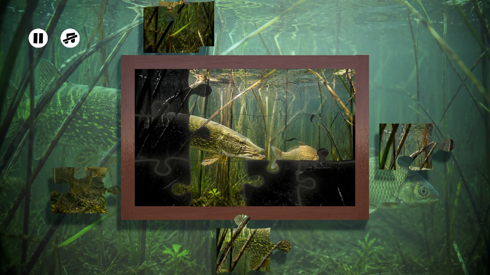 Puzzles: Fish screenshot 1
