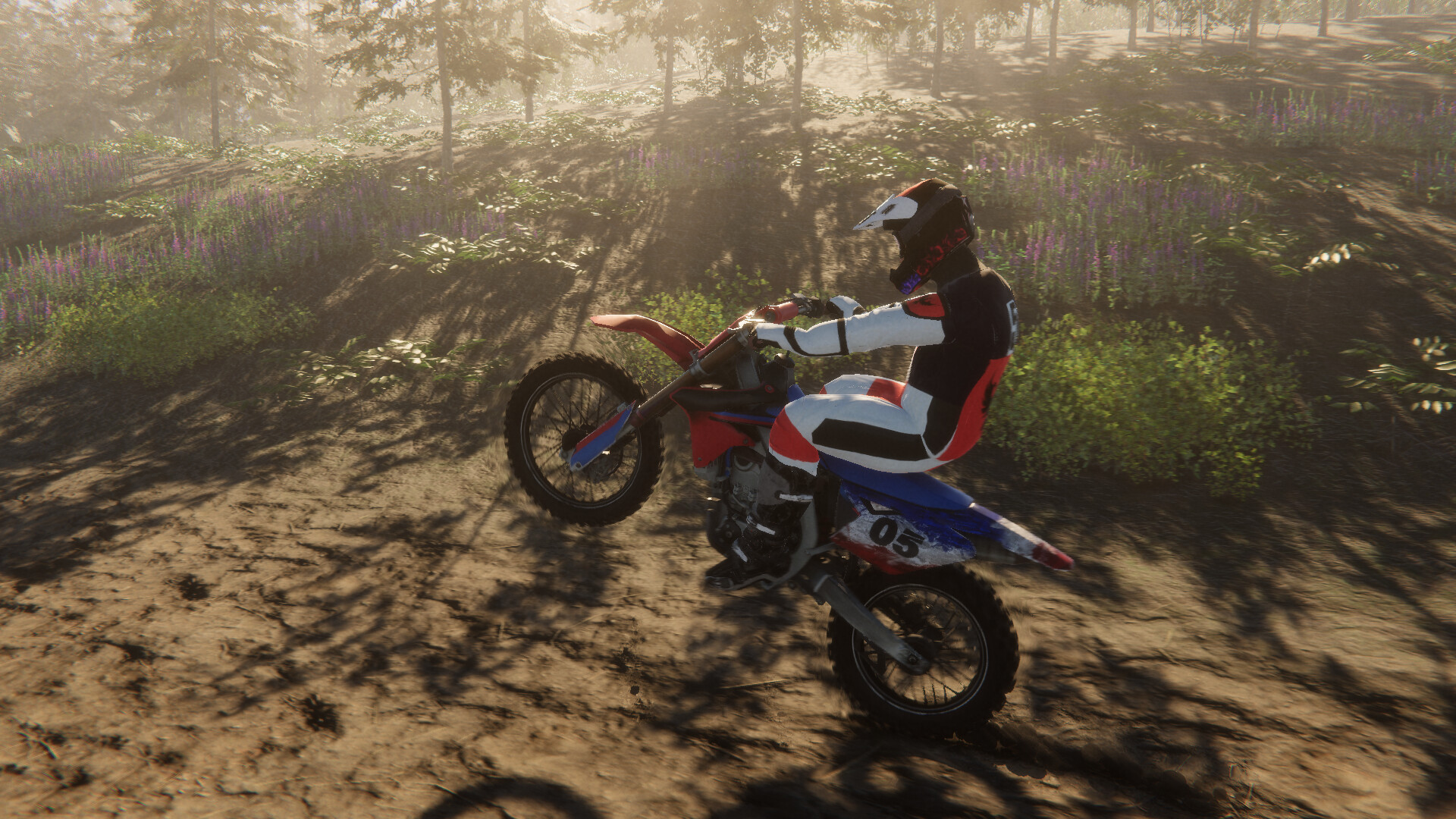 Enduro Unleashed screenshot 7