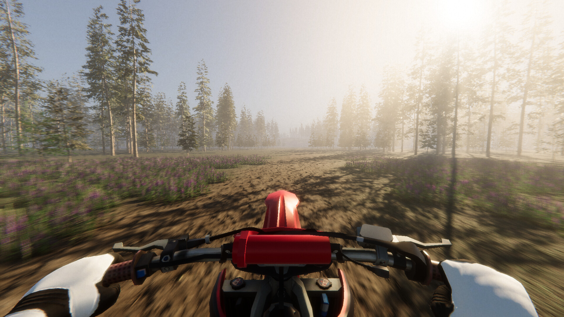 Enduro Unleashed screenshot 6