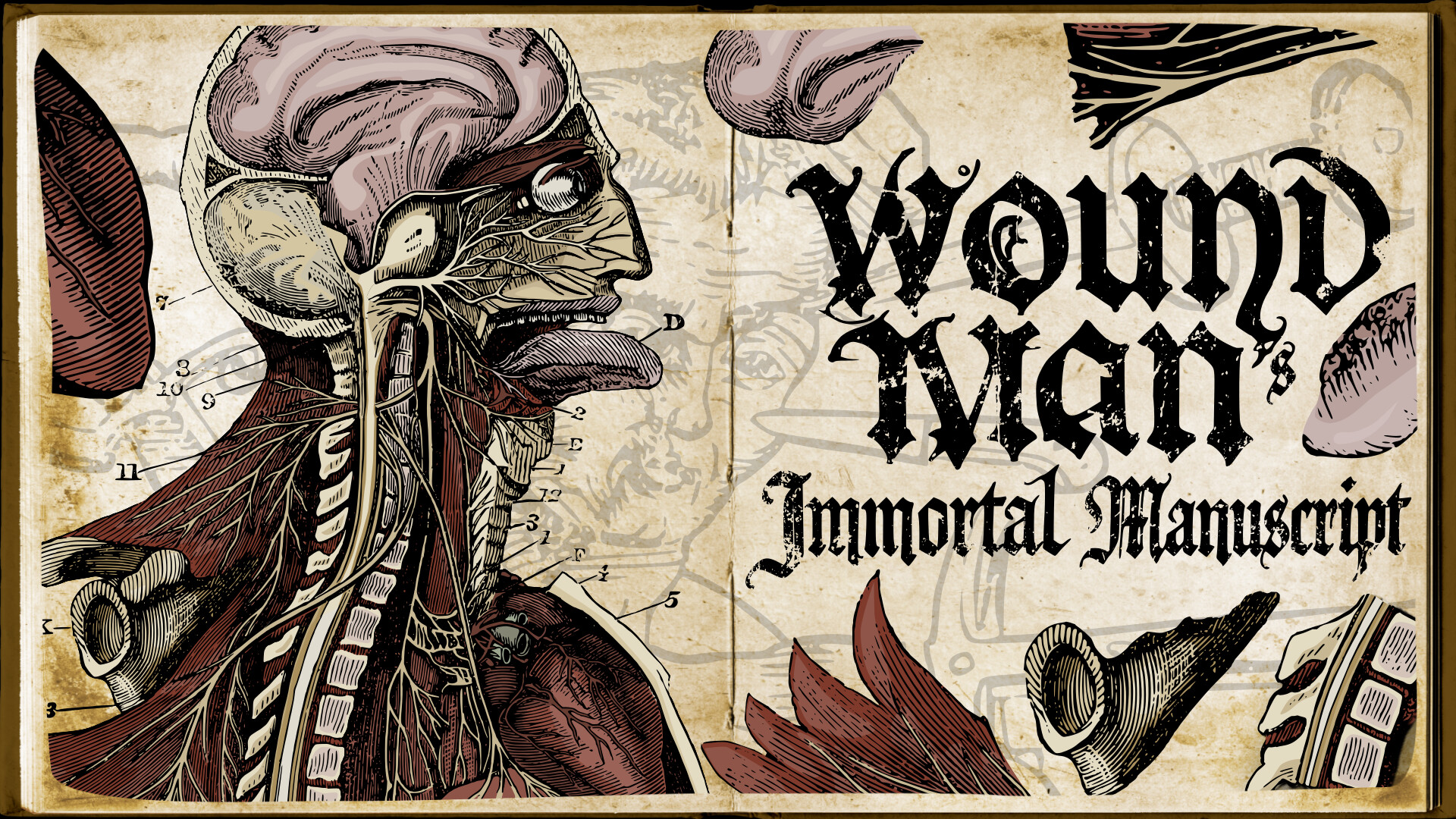 Wound Man - Supporter Pack screenshot 1