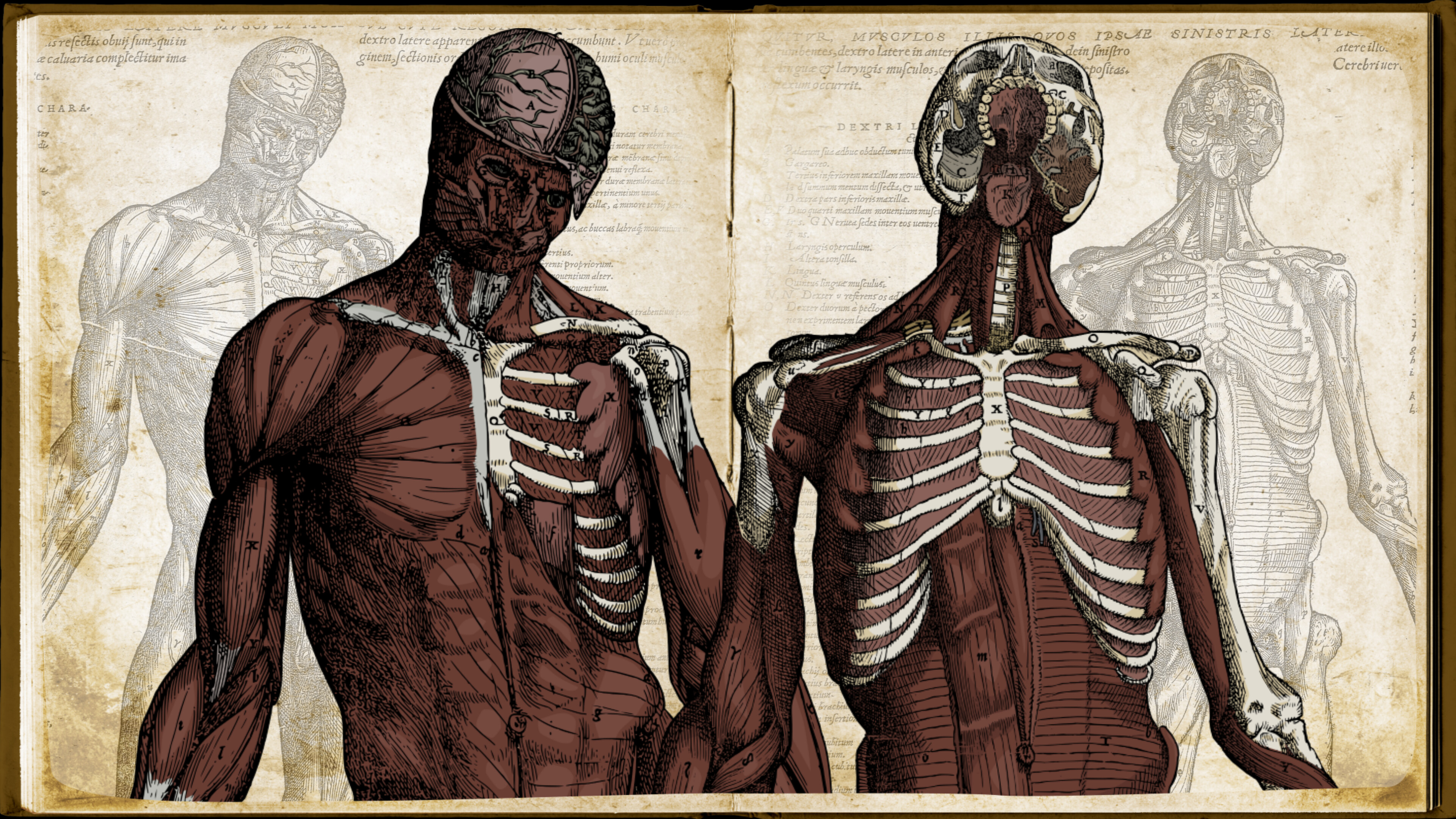 Wound Man - Supporter Pack screenshot 4