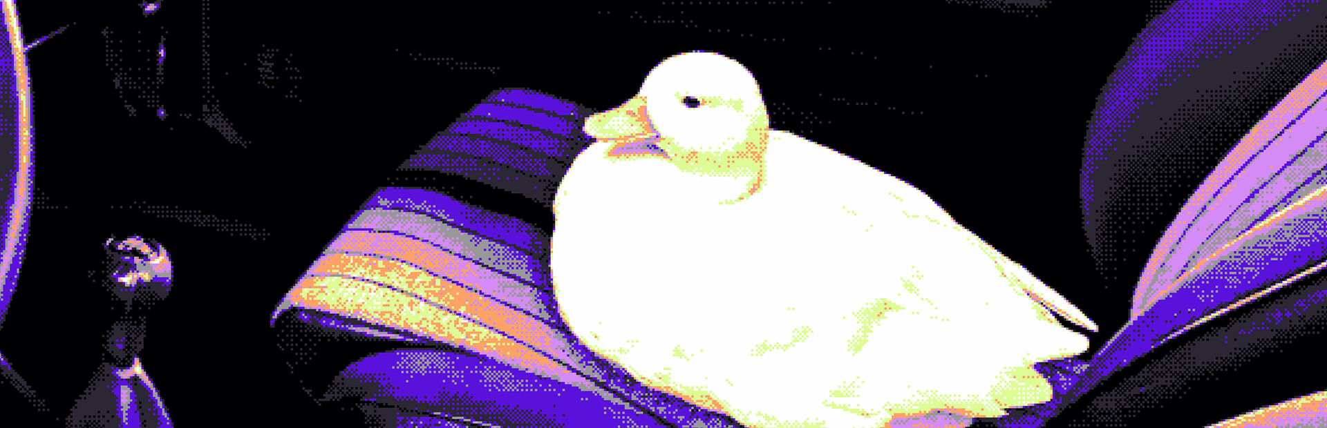 A Road Trip With a Duck