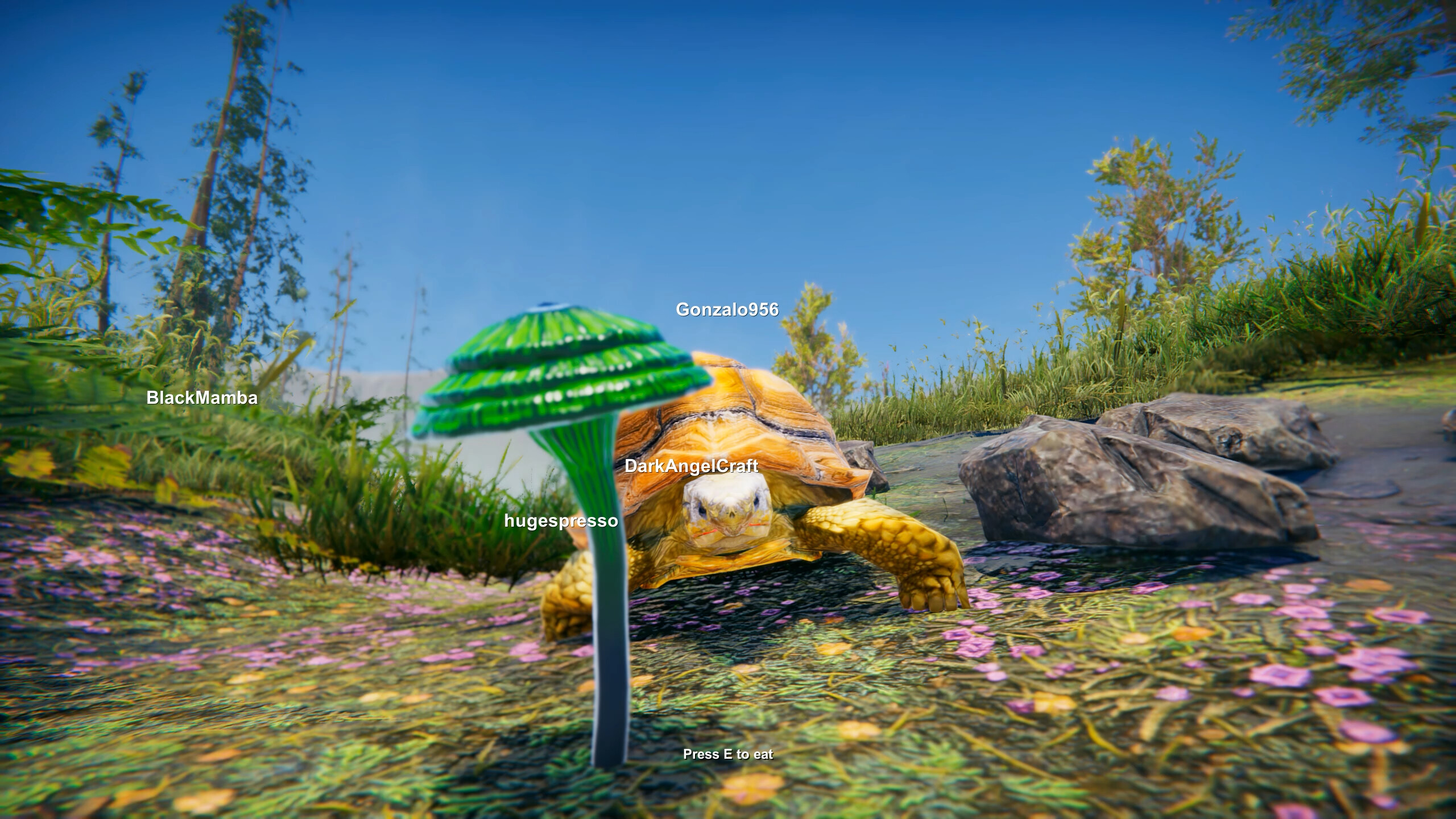 Turtles on Crocodiles screenshot 7