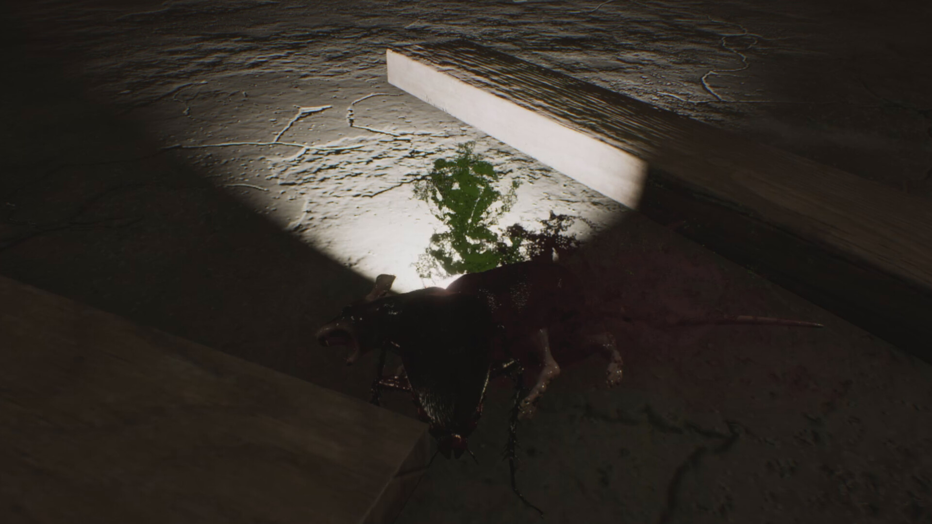 Cockroach Simulation screenshot 9