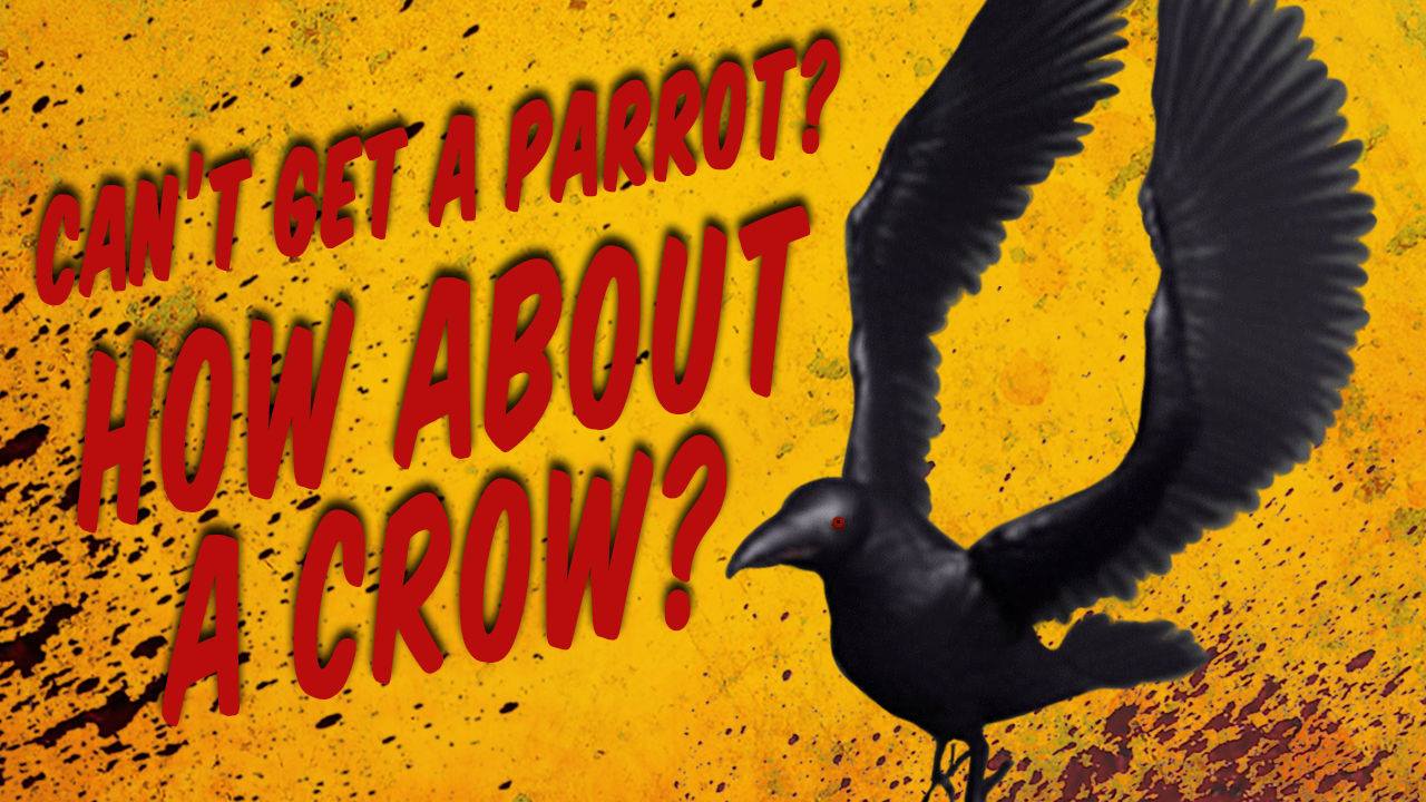 How To Survive 2 - Crow Pet screenshot 2