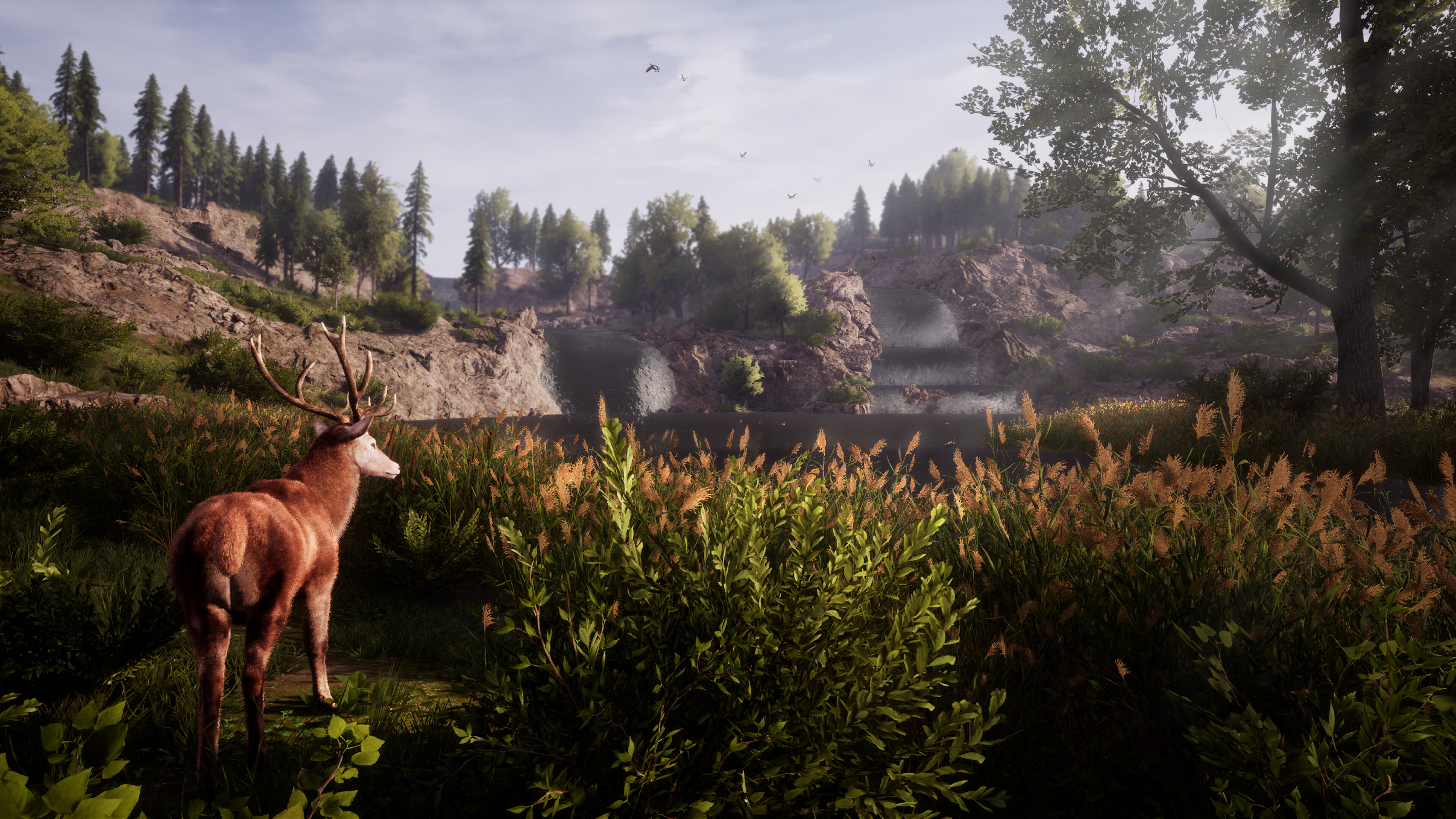 Medieval Dynasty - The Backwood screenshot 5
