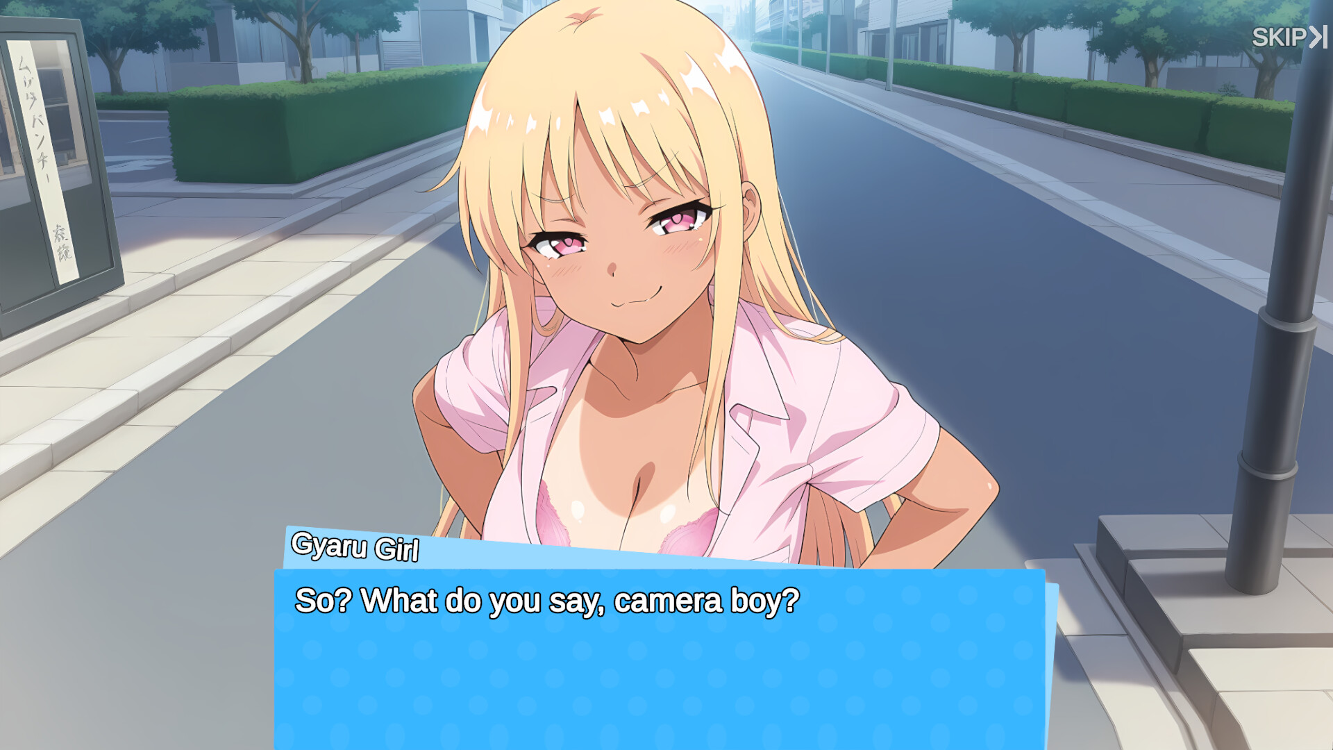 Snapshot Survivor screenshot 4