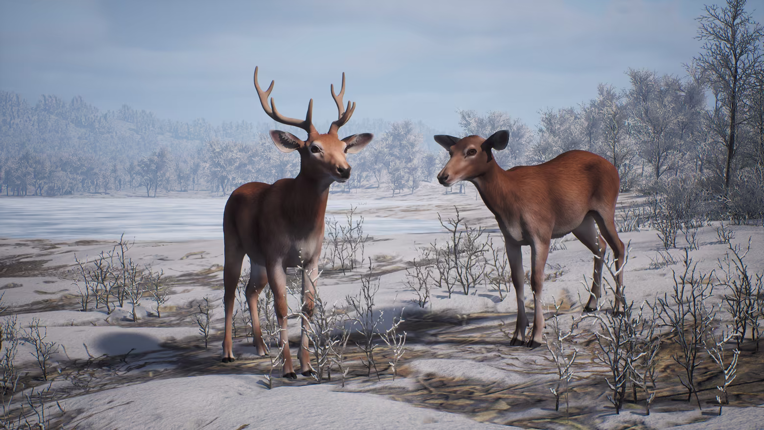 PROJECT HUNT - MANCHURIAN TAIGA