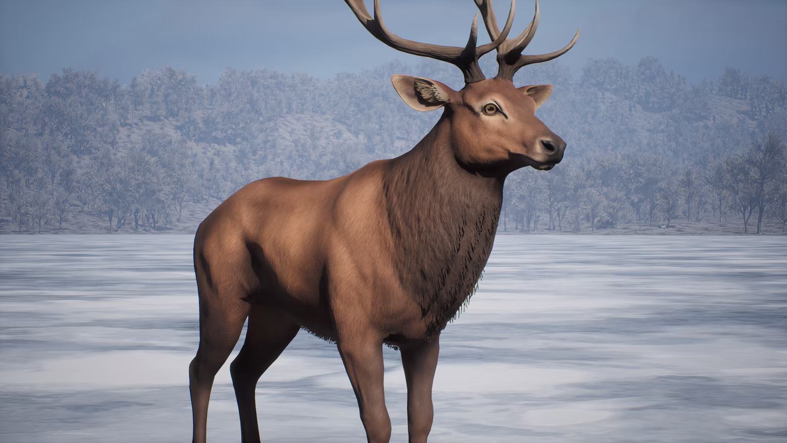 PROJECT HUNT - MANCHURIAN TAIGA