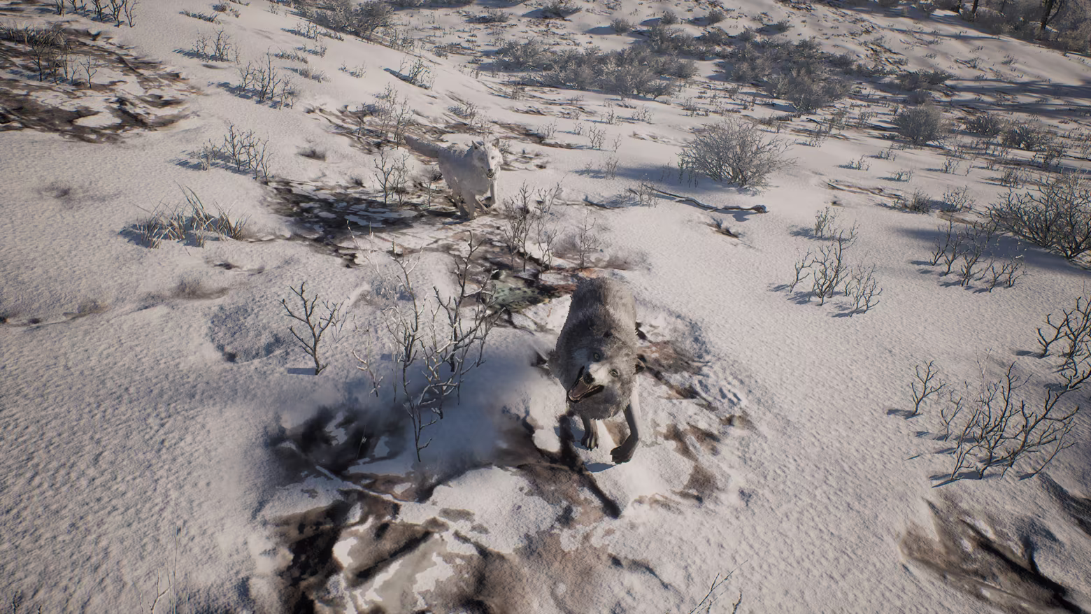 PROJECT HUNT - MANCHURIAN TAIGA