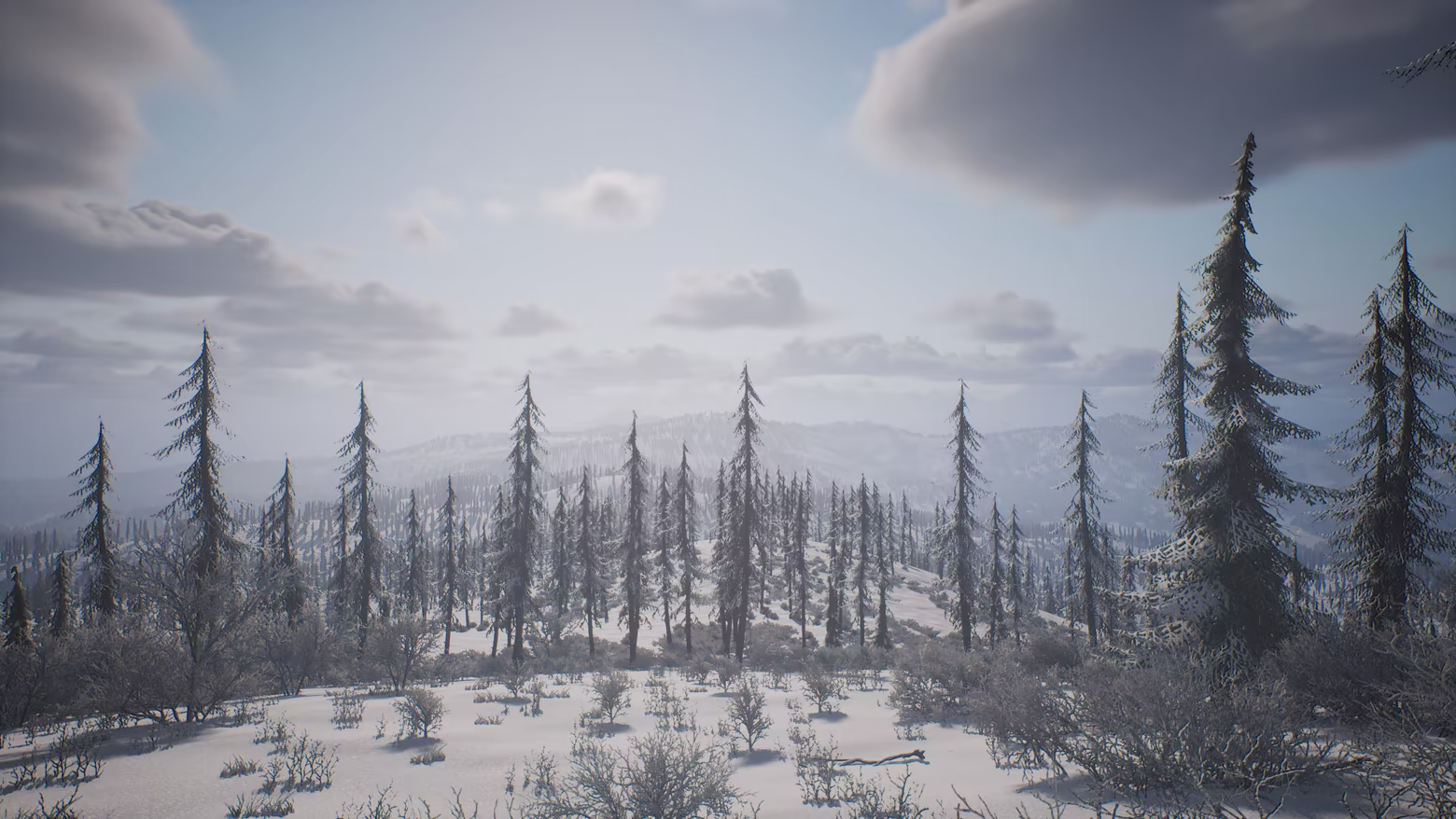 PROJECT HUNT - MANCHURIAN TAIGA