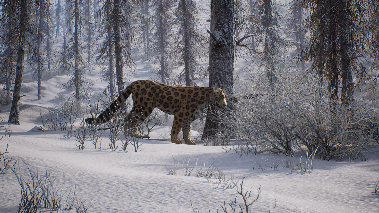 PROJECT HUNT - MANCHURIAN TAIGA