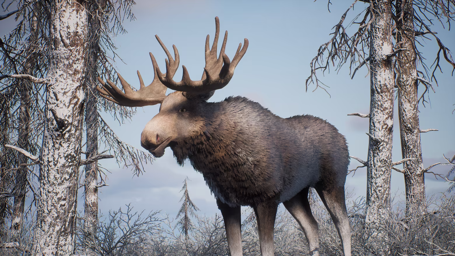 PROJECT HUNT - MANCHURIAN TAIGA