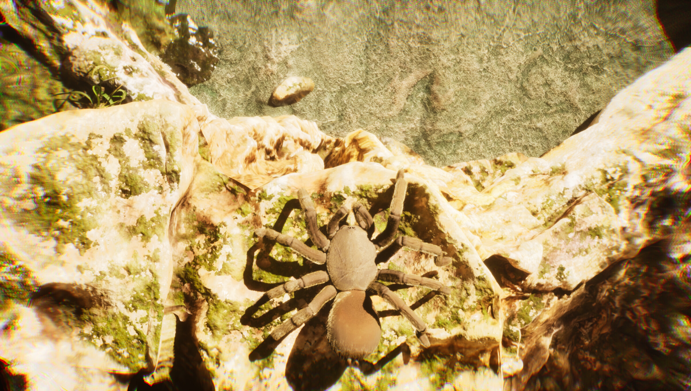 The Undergrowth screenshot 4