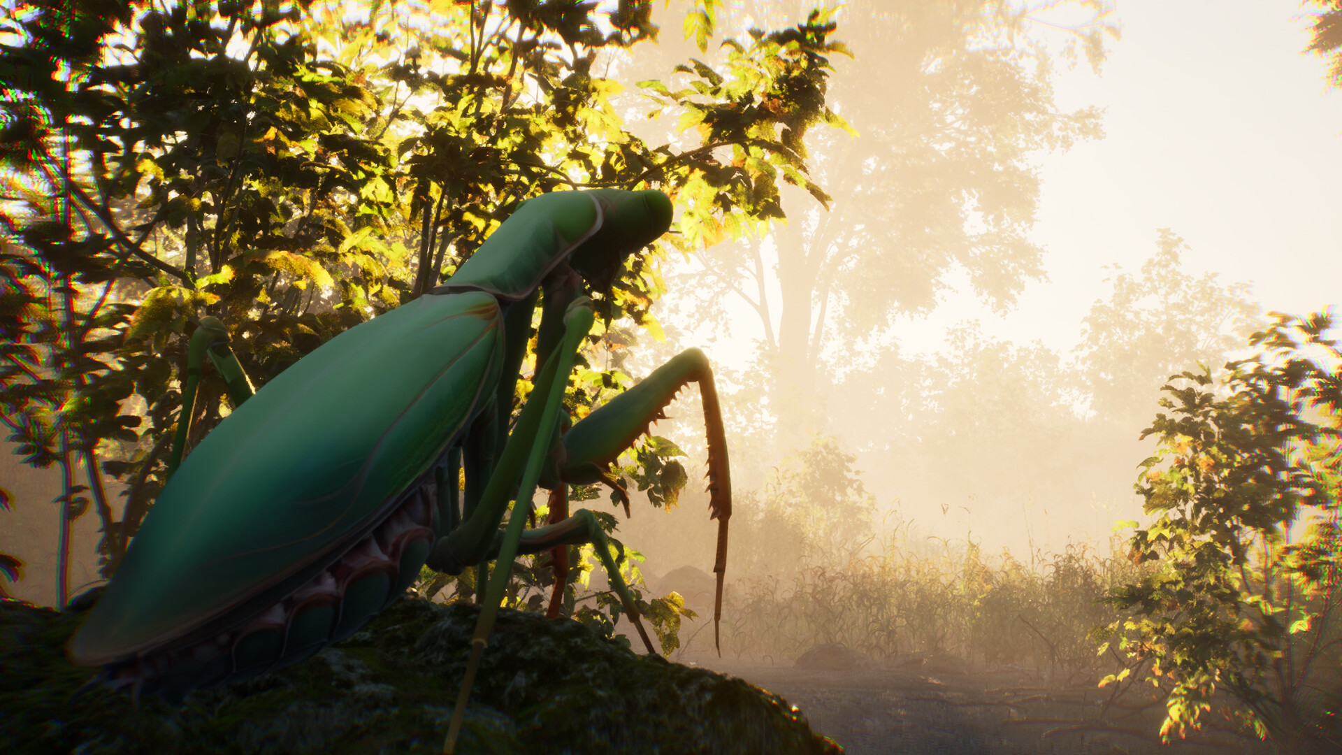 The Undergrowth screenshot 3