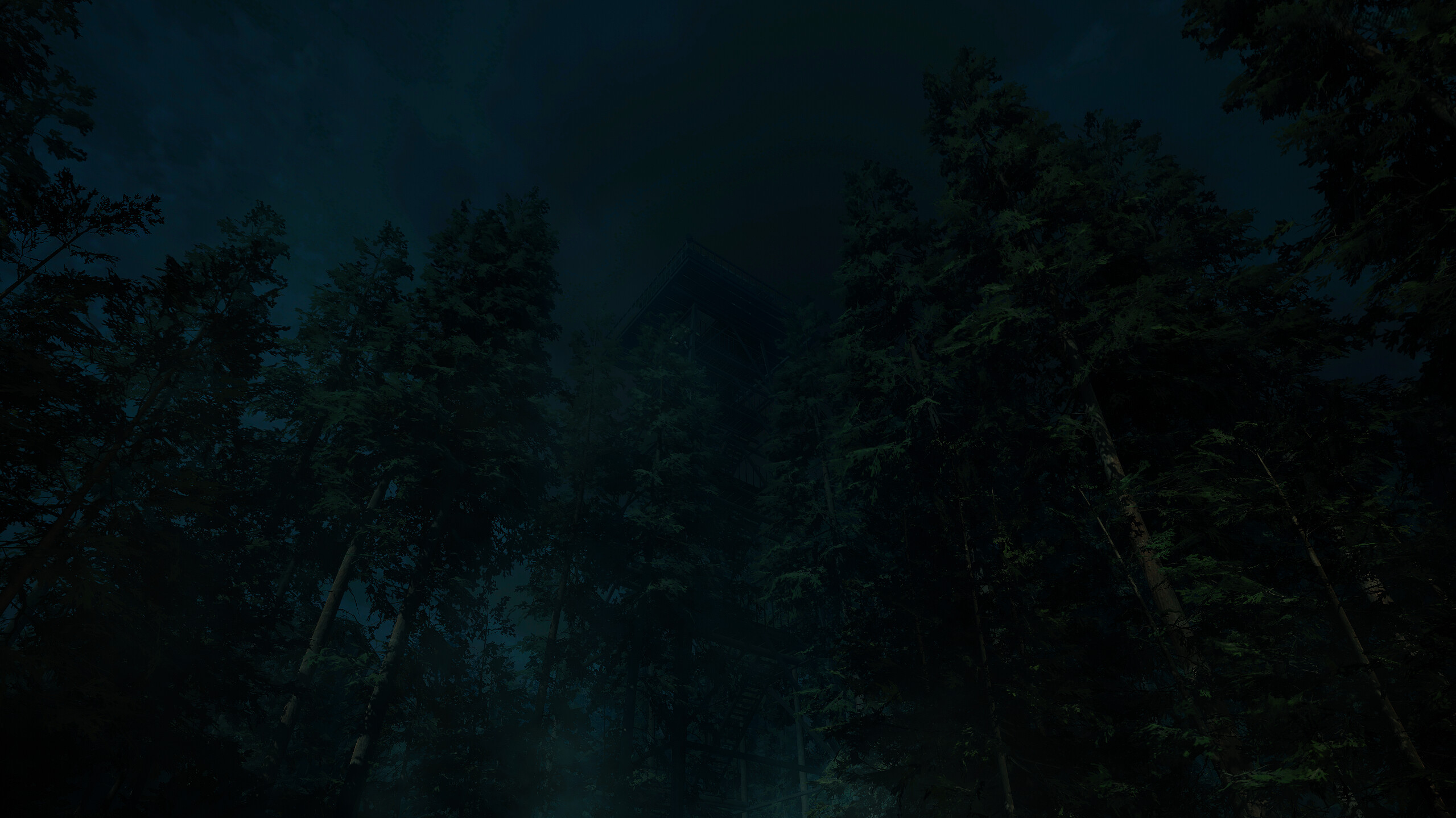 Forest Lookout screenshot 1