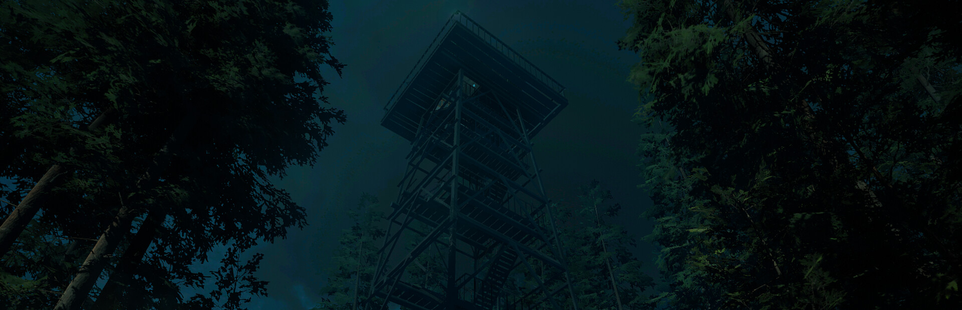 Forest Lookout
