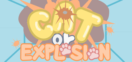 Cat Or Explosion