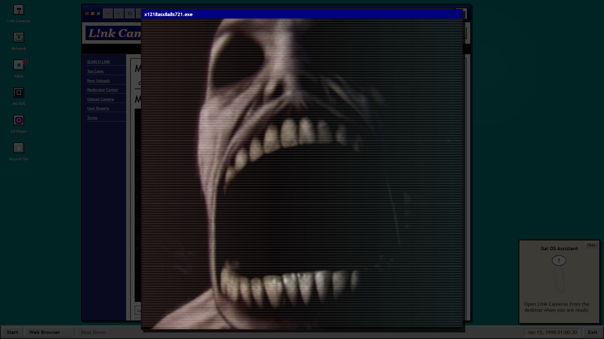 Link Cameras screenshot 9
