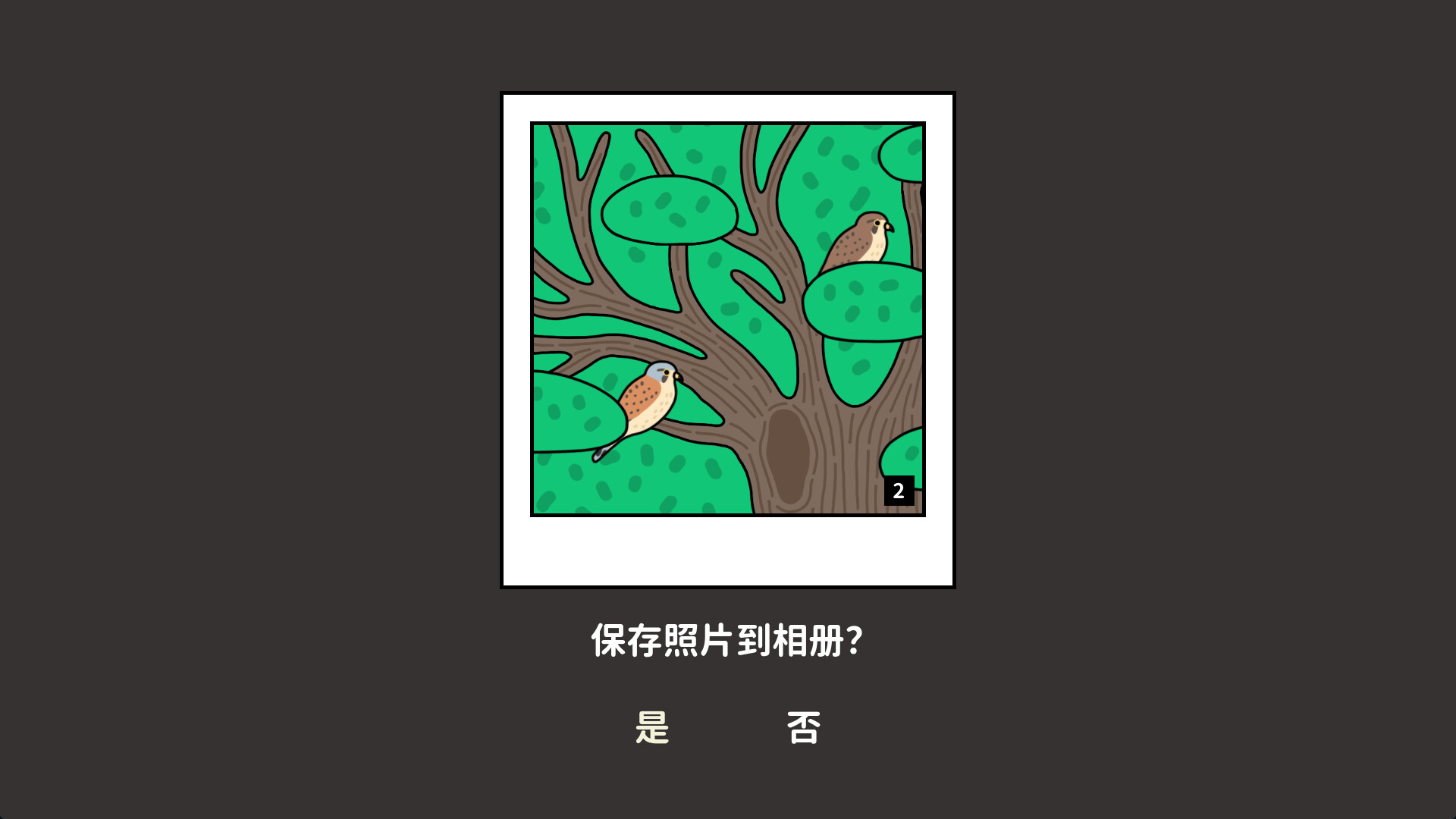 Bird Sense screenshot 5