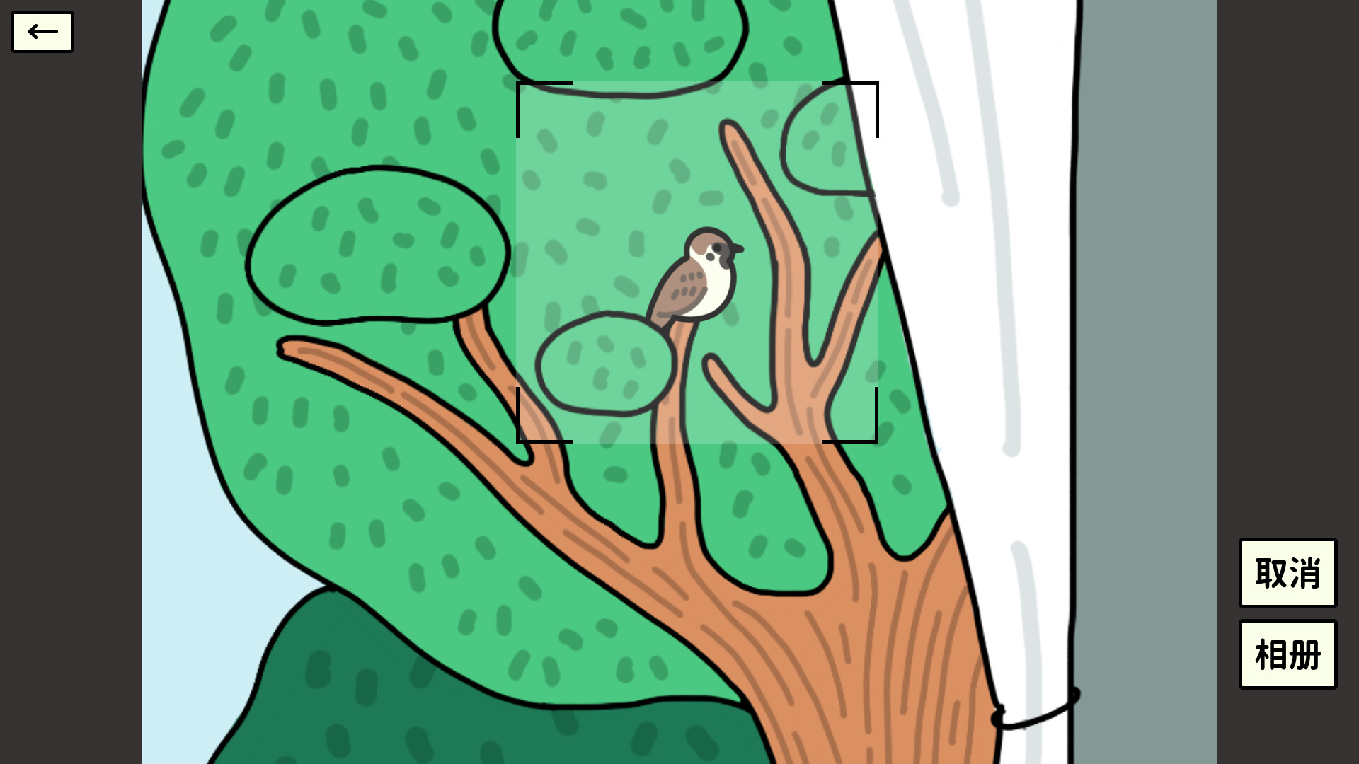 Bird Sense screenshot 4