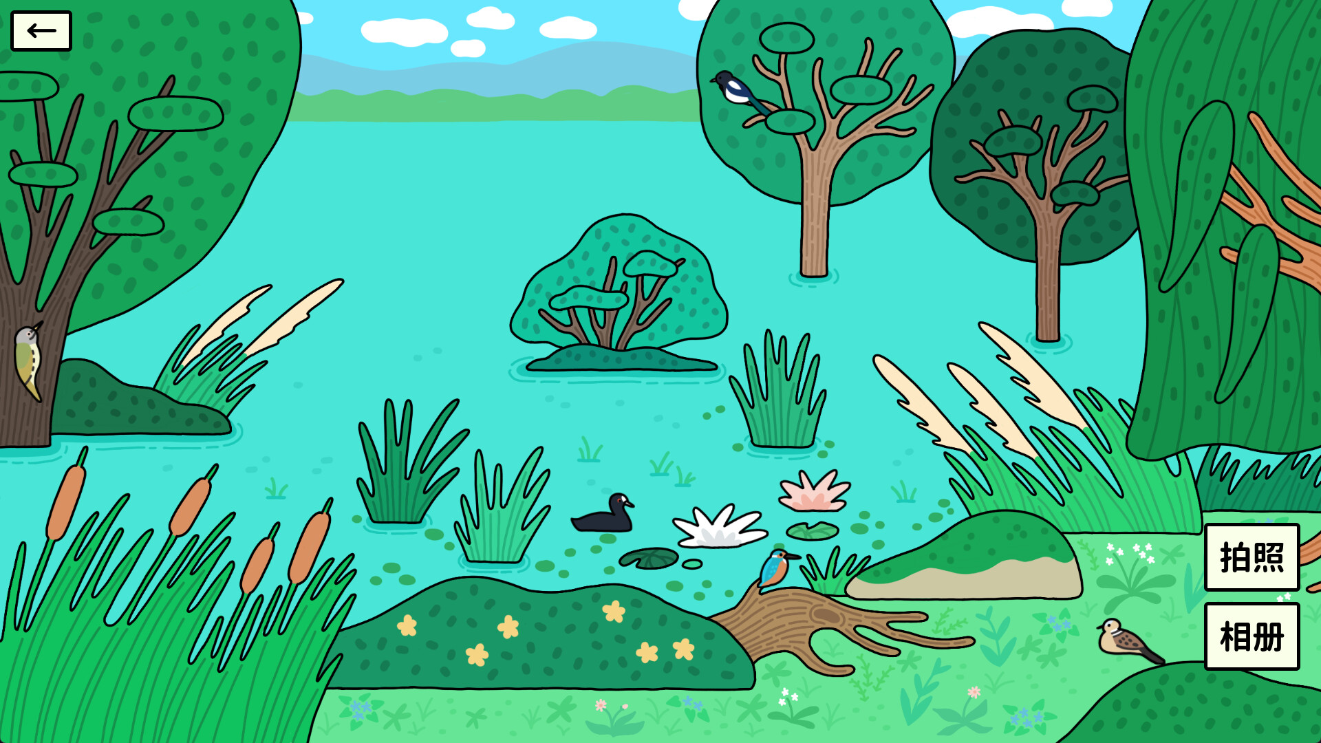 Bird Sense screenshot 3