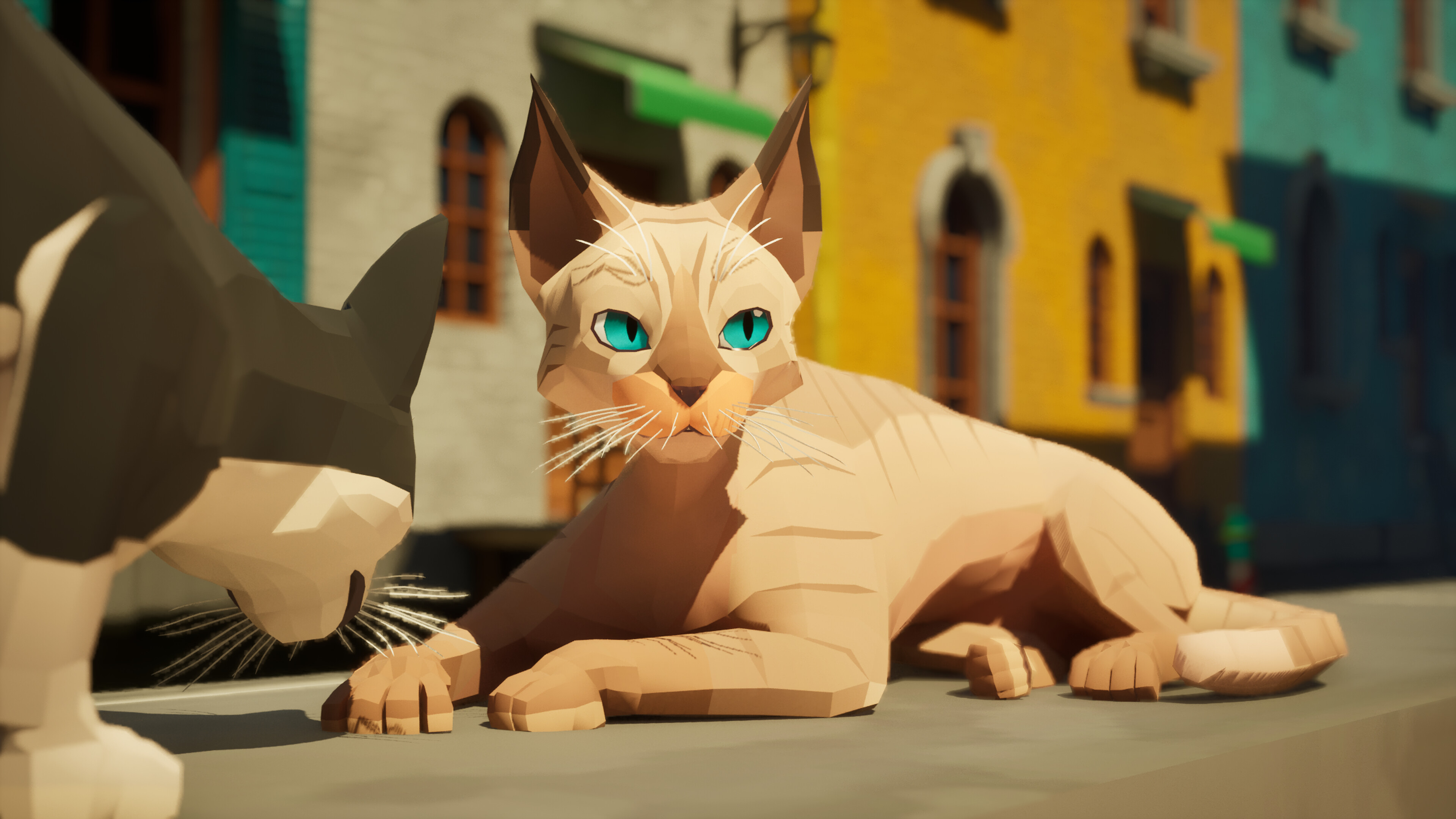 Cat The Photo screenshot 4