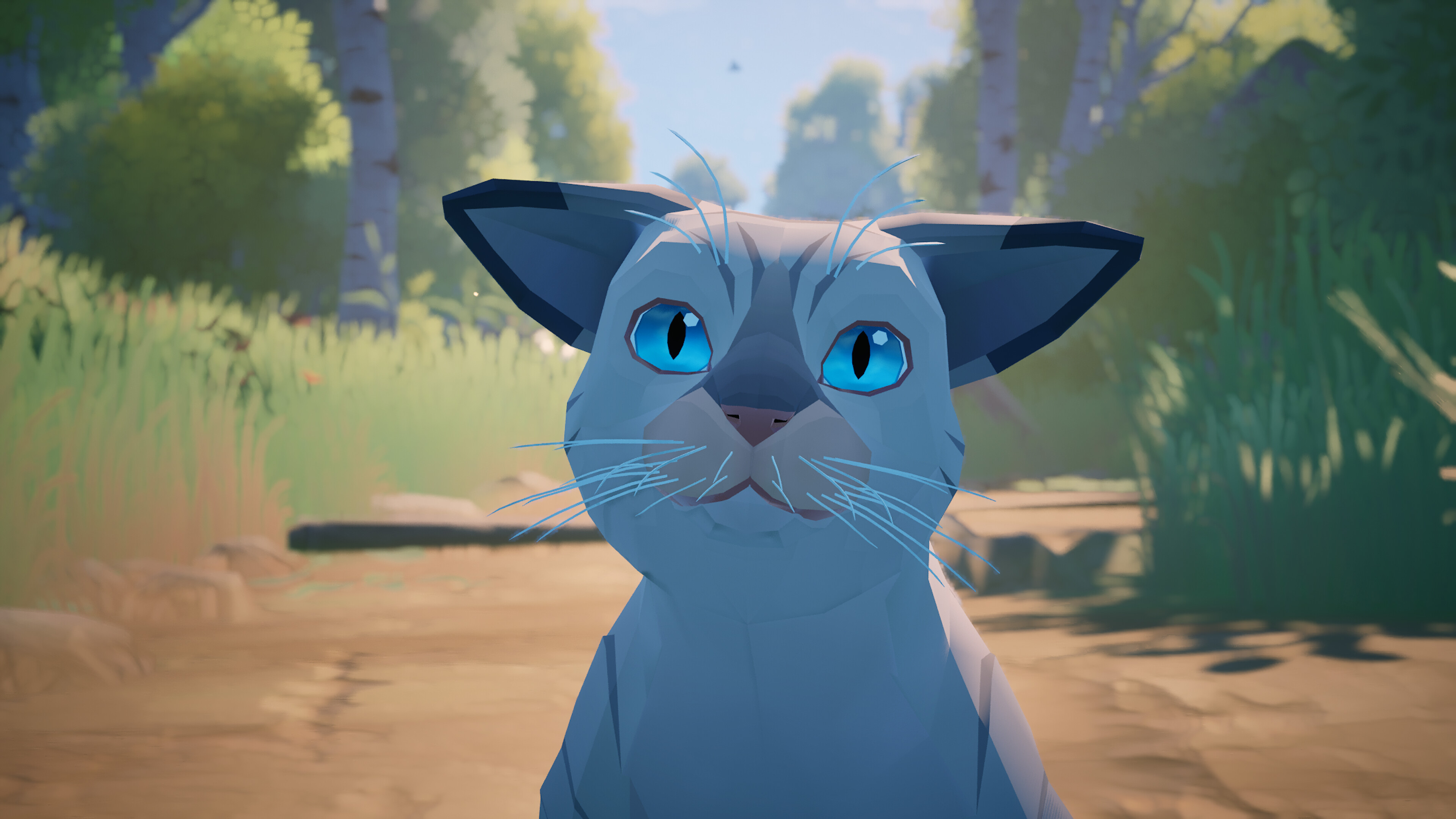 Cat The Photo screenshot 7