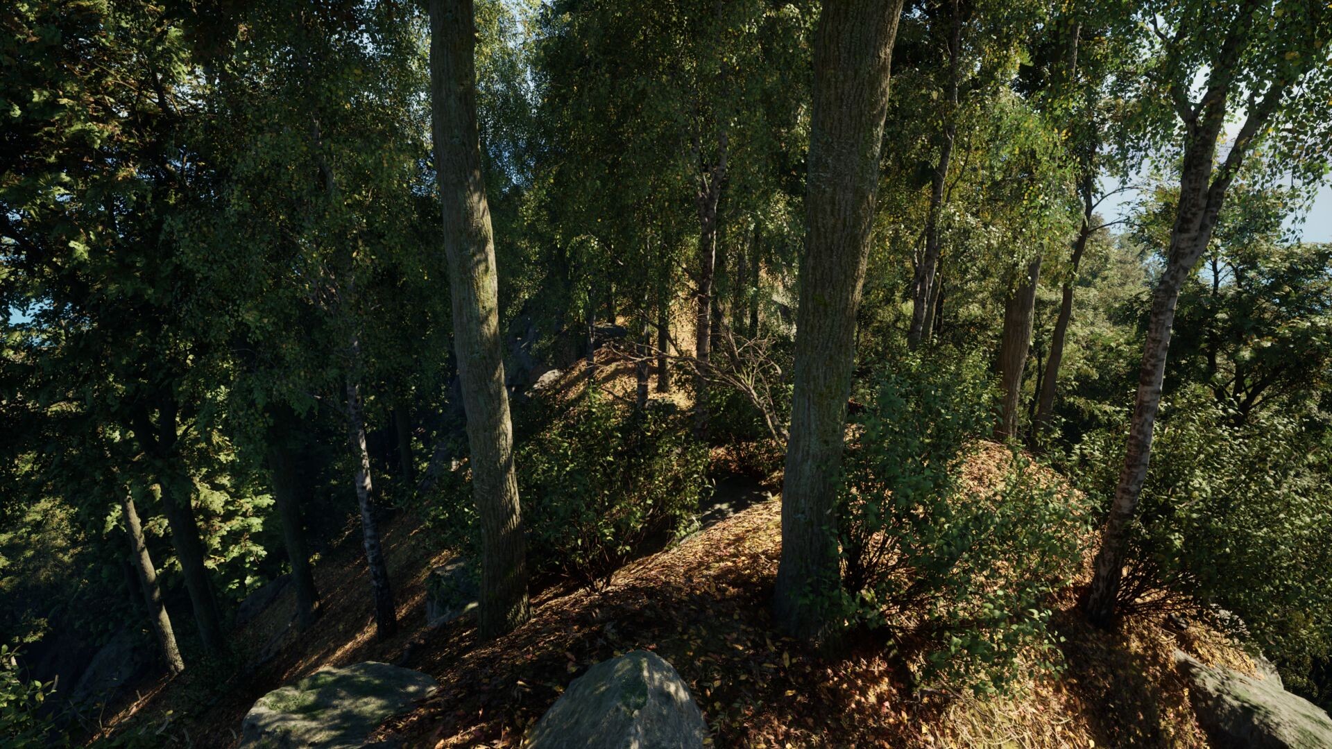 EvoX screenshot 16
