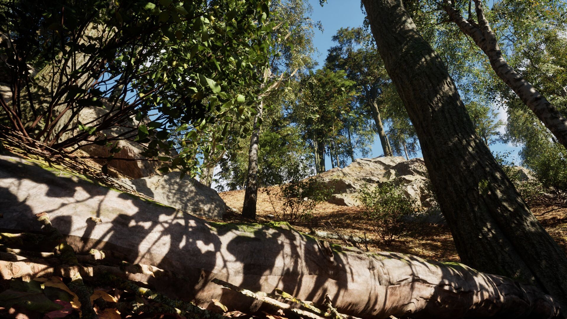 EvoX screenshot 17