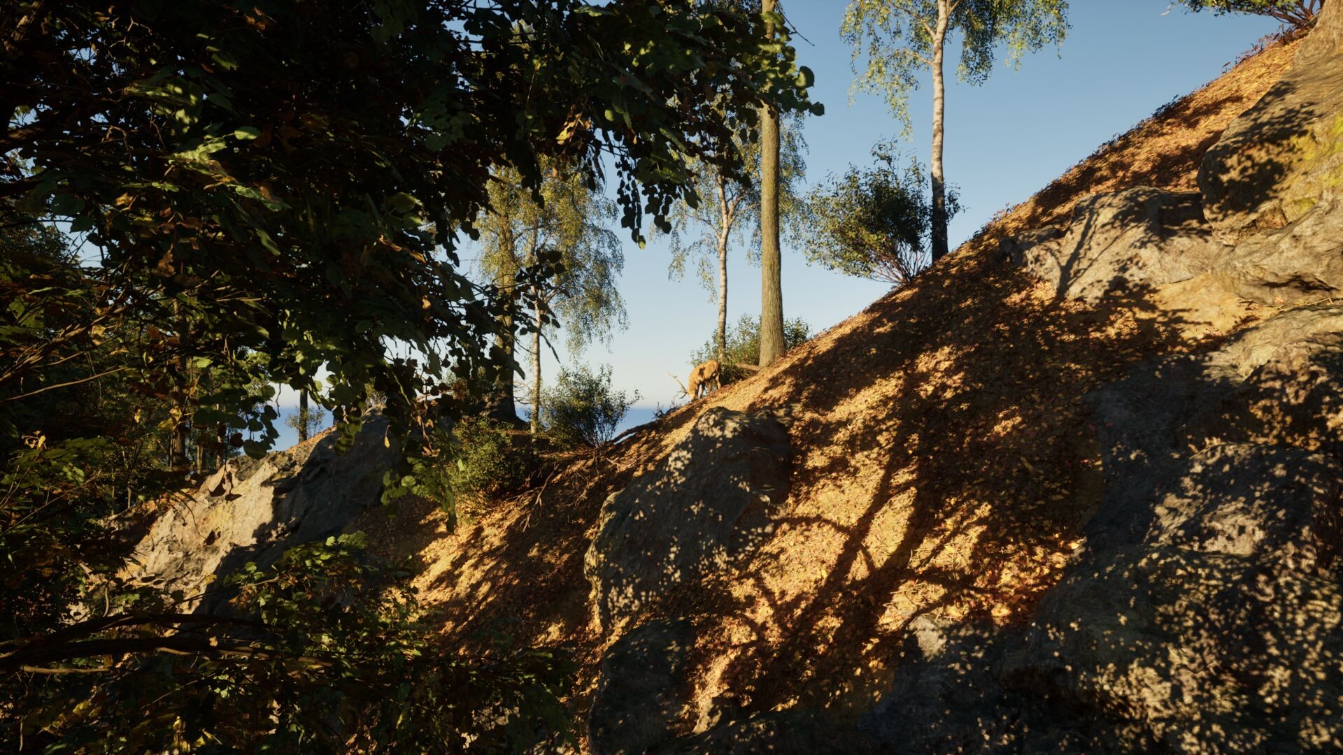 EvoX screenshot 12