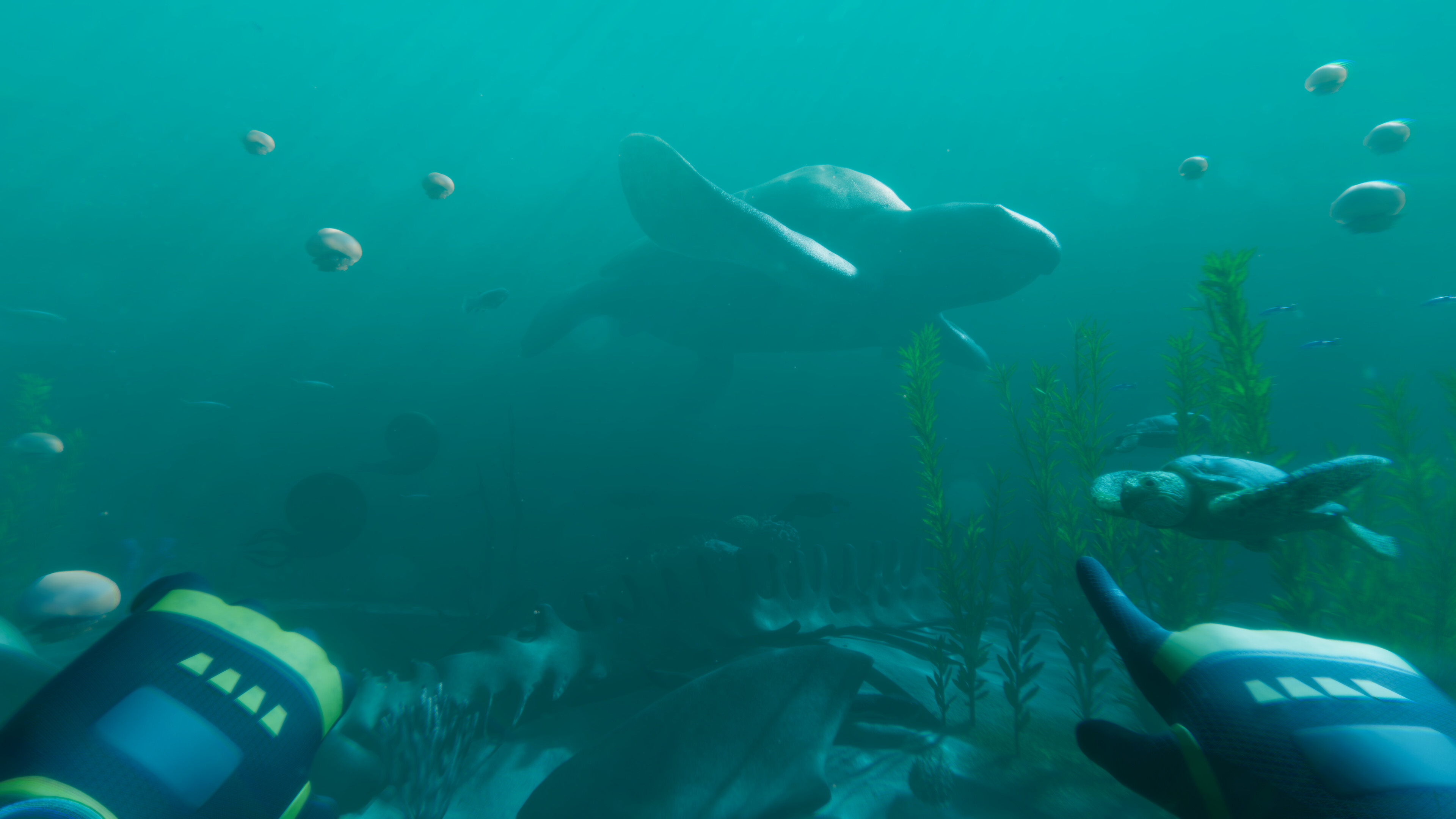 Paleo Dive screenshot 9