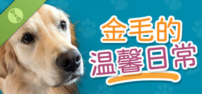 金毛的温馨日常