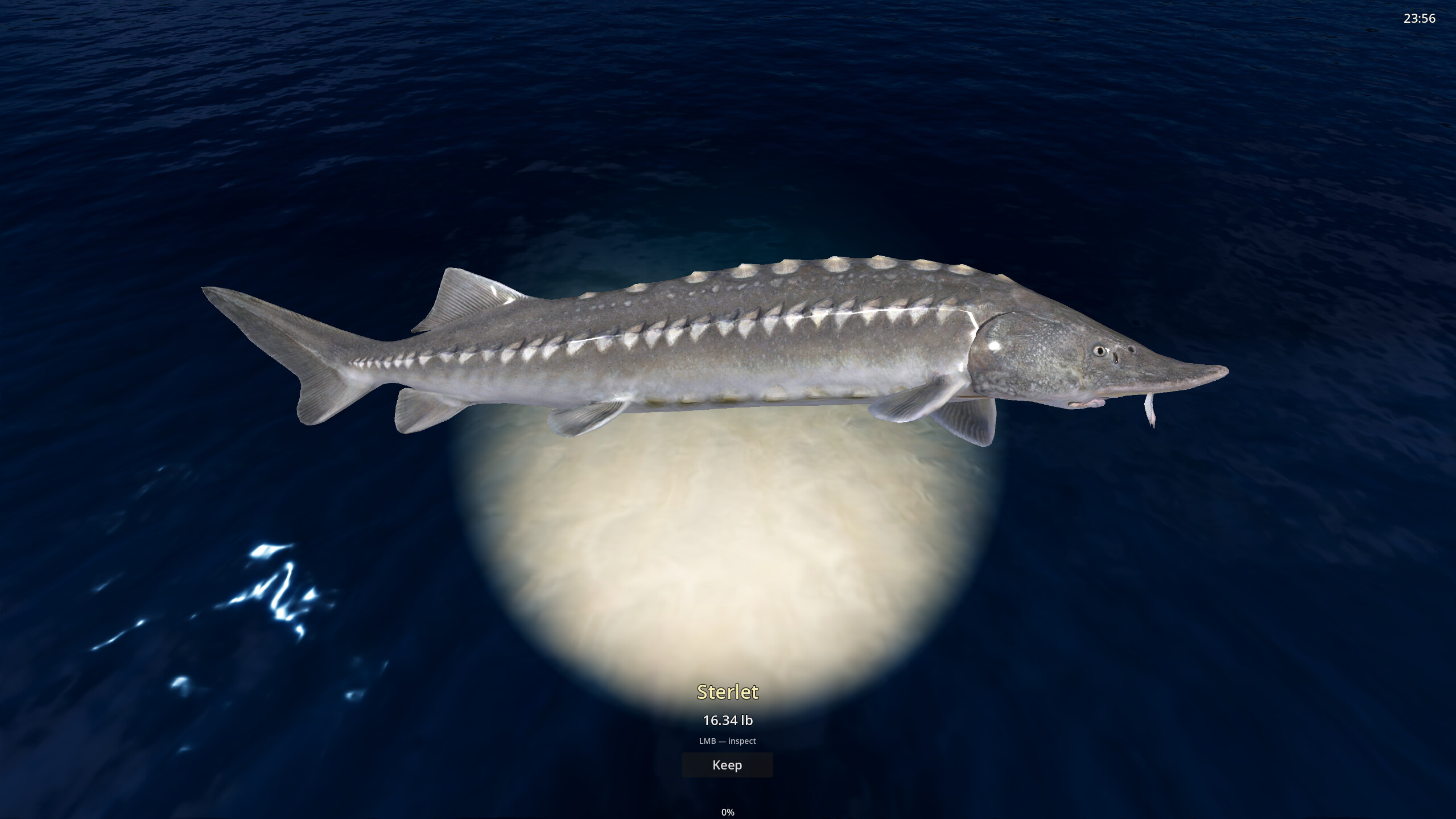 Rogoz Fishing screenshot 4